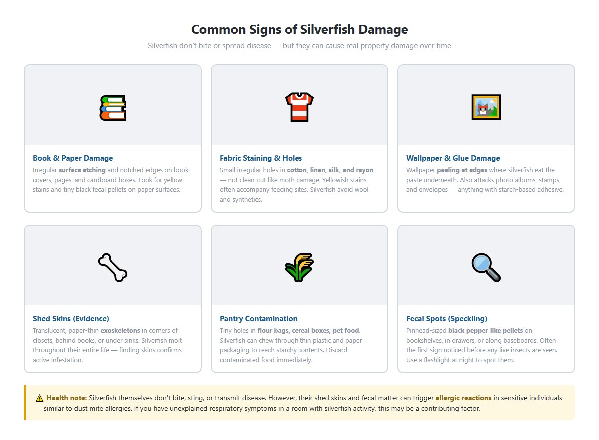 Examples of silverfish damage — book page with irregular holes,